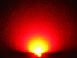 DUO Bi-Color TOP LED SMD 3528 PLCC4 kaltweiß / rot