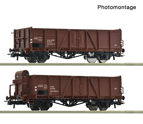 ROCO 6600123 2-teiliges Set Offene Güterwagen ÖBB Spur H0