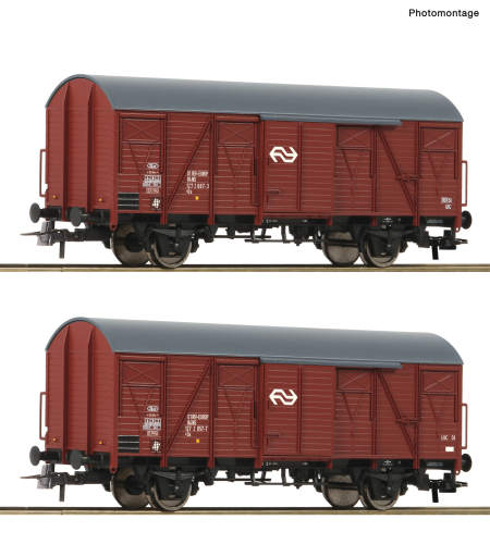 ROCO 6600151 2-teiliges Set Gedeckte Güterwagen NS Spur H0