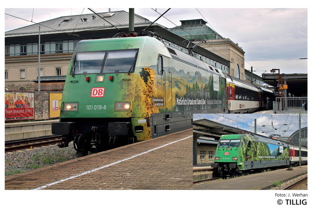 TILLIG 02321 Elektrolokomotive „Fahrziel Natur“ der DB AG Spur TT