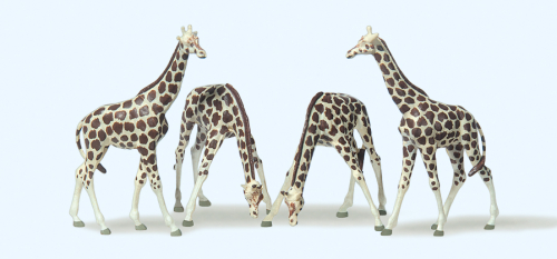 Preiser 79715 Giraffen Spur N