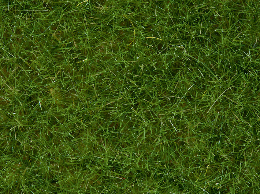 NOCH 07102 Wildgras hellgrün, 6 mm, 50 g