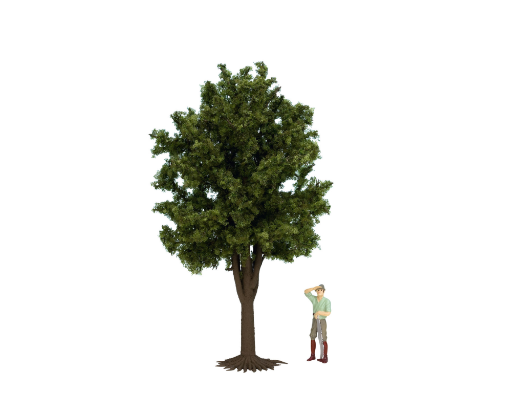 NOCH 68020 Obstbaum grün, ca. 30 cm hoch 0,G