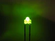 LED 1,8mm grün klar